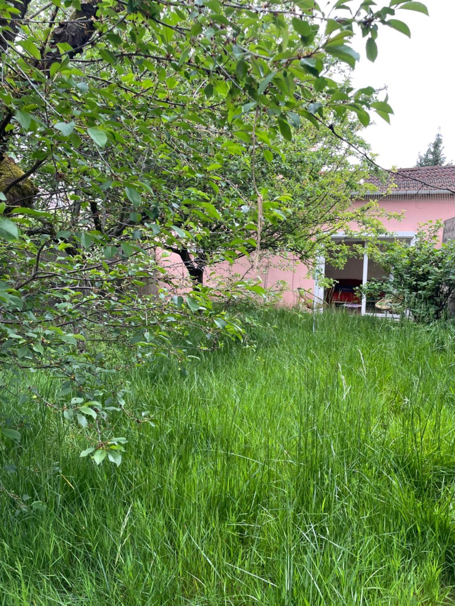 Charmante Maison Avec Jardin Aux Portes De Paris Vitry-sur-Seine Esterno foto